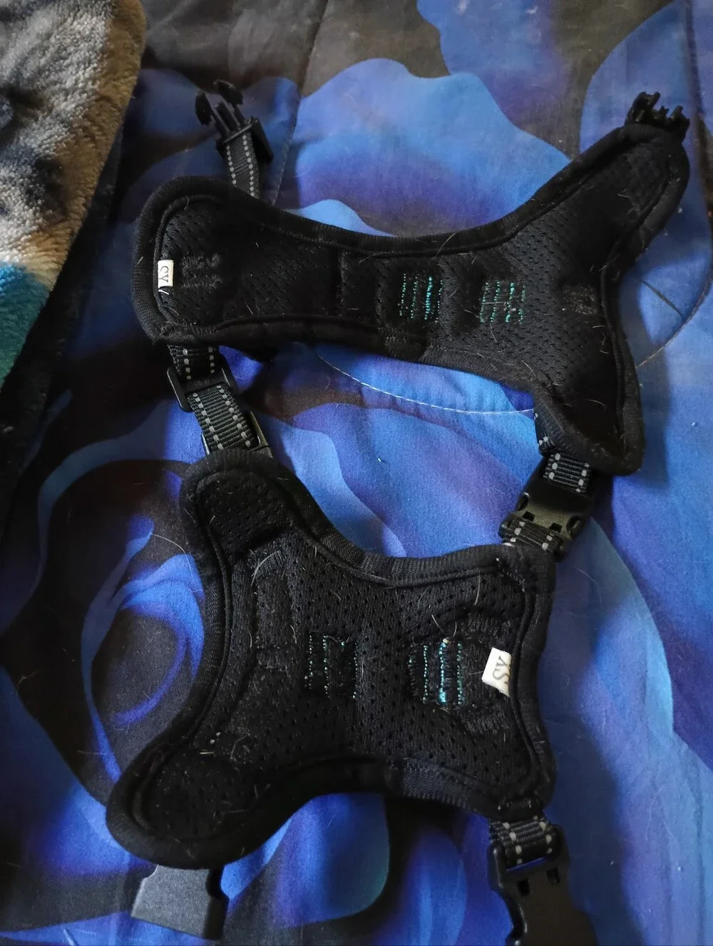 Blue Dog Harness with Reflective Trim - Comfortable Adjustable Harness.